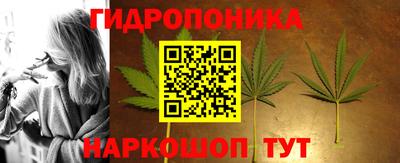 прущие крисы Будённовск