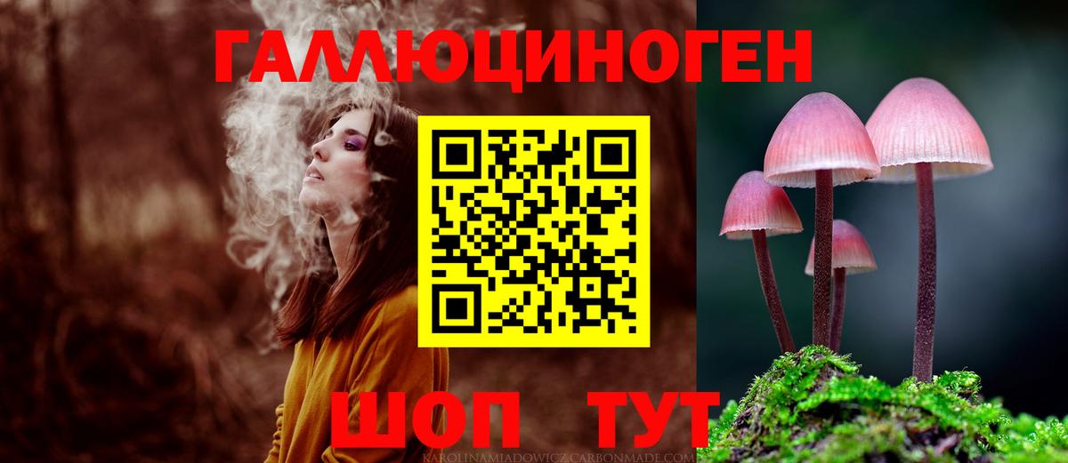 Псилоцибиновые грибы Cubensis Томск