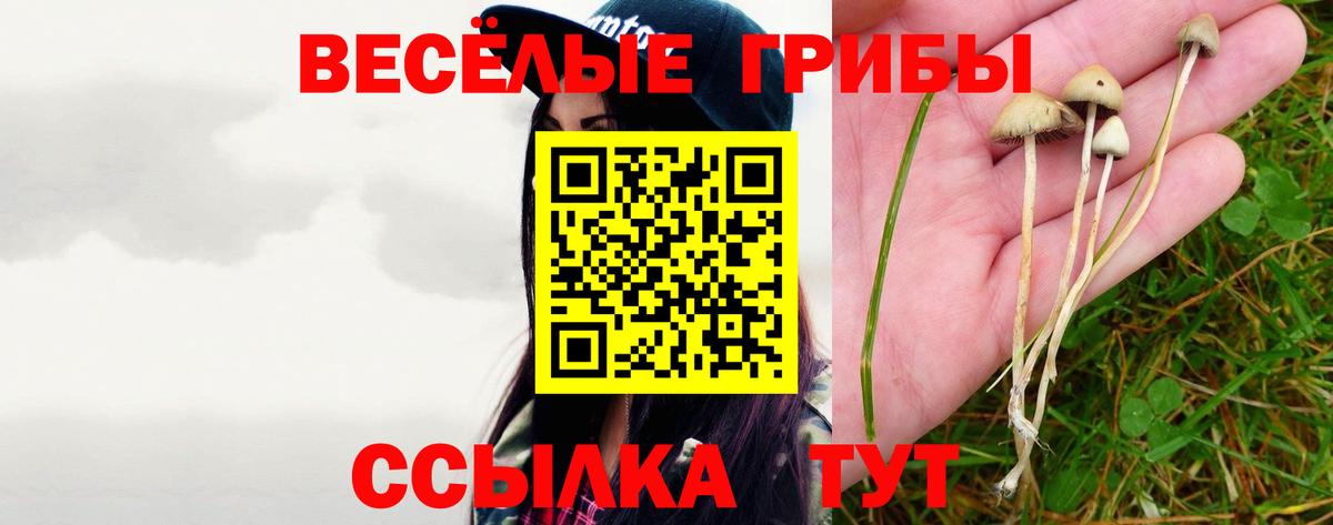 что такое   Галлюциногенные грибы Cubensis  Вход с VPN  Томск 